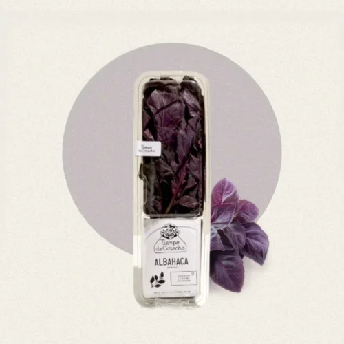 Albahaca Morada