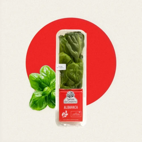 Albahaca Verde