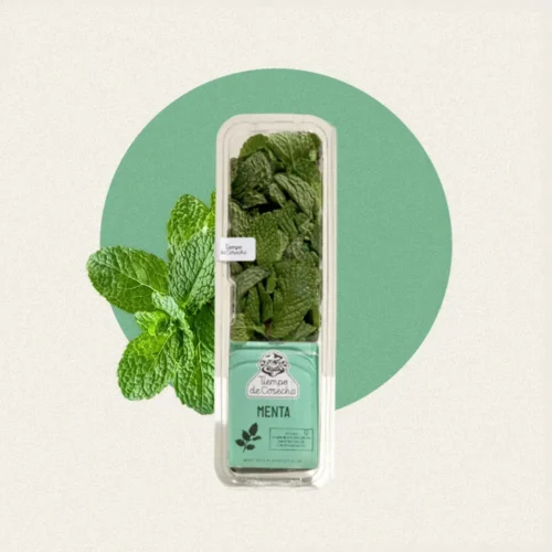Menta